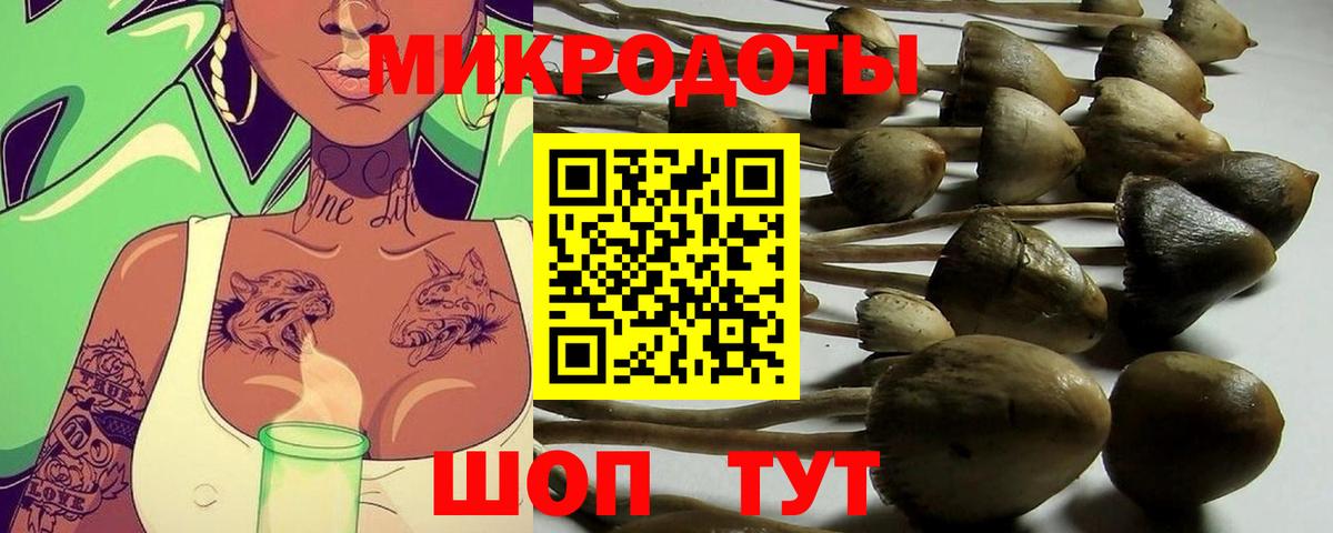 Псилоцибиновые грибы Magic Shrooms  Вход с VPN  Балаково 