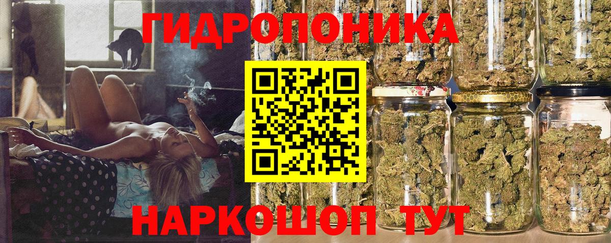 Конопля план Балаково